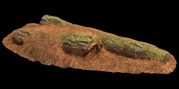 黒の背景に隔離された乾燥した木の切り株の3Dイラスト — ストック写真