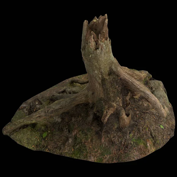 stock image 3d illustration of dry tree stump isolated on black background