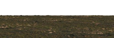 3 boyutlu yosun kaplı çakıl taşları, zemin malzemesi perspektifi görünümü