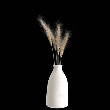 3d illustration of flower vase isolated on black background