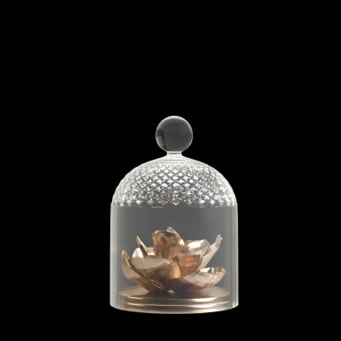 3d illustration of flower vase isolated on black background