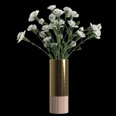 3d illustration of flower vase isolated on black background