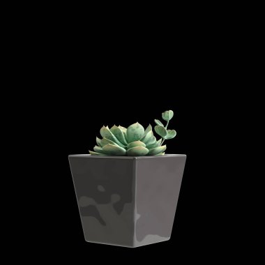 Siyah arka planda izole edilmiş ev bitkilerinin 3D çizimi