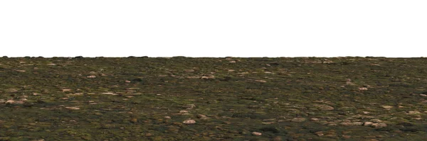 モス覆われた砂利の3Dイラスト 地上の物質的な視点ビュー — ストック写真