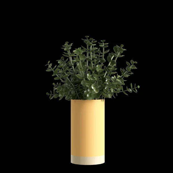 Illustration Flower Vase Isolated Black Background — Foto de Stock
