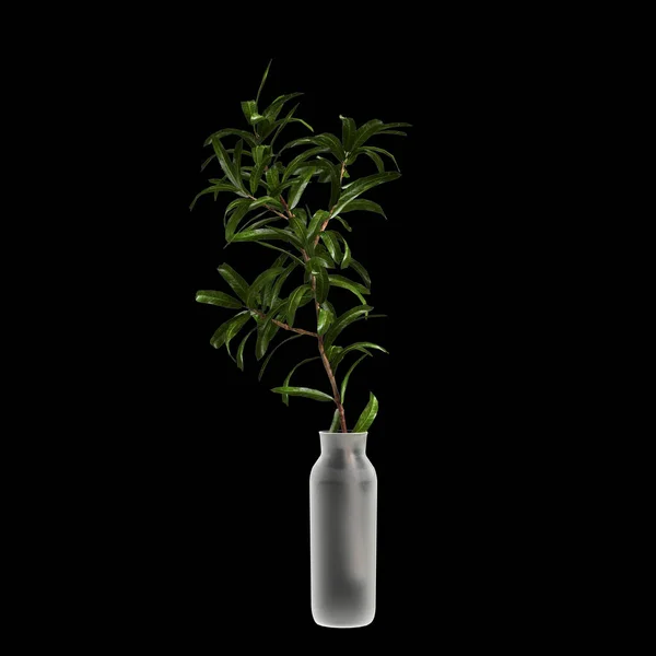 Illustration Flower Vase Isolated Black Background — Stockfoto