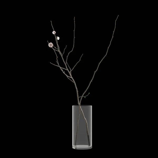 Illustration Flower Vase Isolated Black Background — Stock Photo, Image