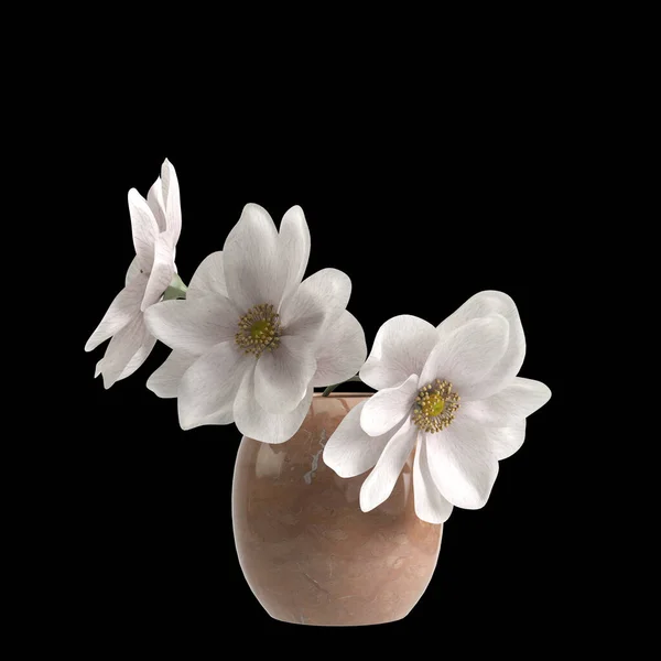 Illustration Flower Vase Isolated Black Background — Foto de Stock