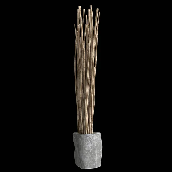 Illustration Flower Vase Isolated Black Background — 图库照片