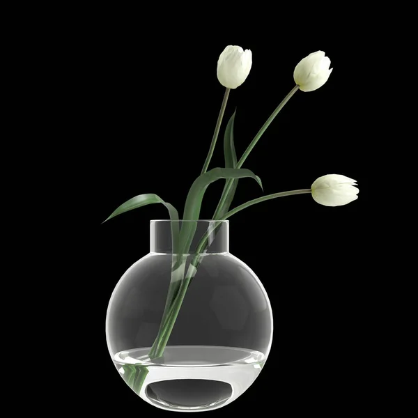 Illustration Flower Vase Isolated Black Background — Stok fotoğraf