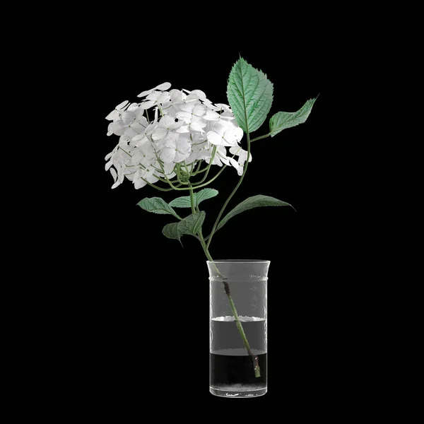 Ilustração Vaso Flores Decoração Isolada Fundo Preto — Fotografia de Stock