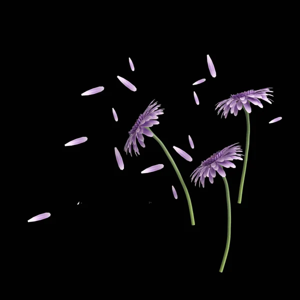 Illustration Fleurs Feuilles Isolées Sur Fond Noir — Photo