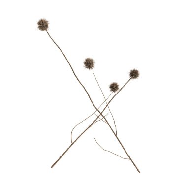 Beyaz arkaplanda 3 boyutlu yaprak ve çiçek çizimi