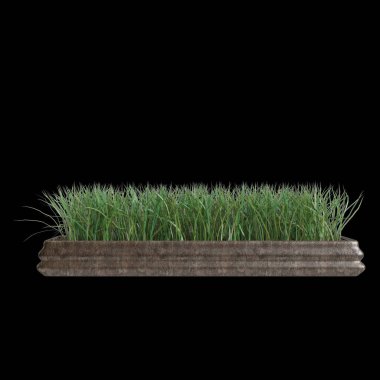 Siyah arkaplanda izole edilmiş 3D ev bitkisi çizimi