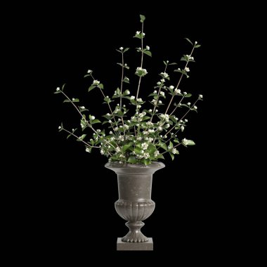 Çiçek vazosu dekorasyonunun 3 boyutlu resmi siyah arkaplanda izole edildi