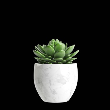 Siyah arkaplanda izole edilmiş 3D ev bitkisi çizimi