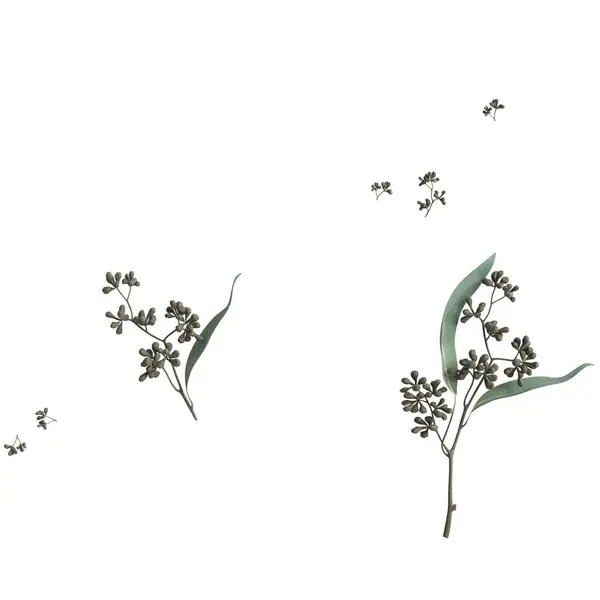 Illustration Von Blatt Und Blume Isoliert Auf Weißem Hintergrund — Stockfoto