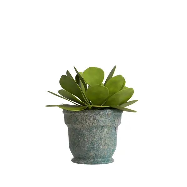 Illustration Potted Plant Interior Space Isolated White Background — Stock Photo, Image