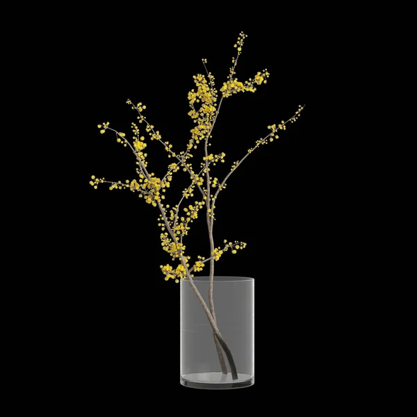 Illustration Der Blumenvasendekoration Innenraum Isoliert Auf Schwarzem Hintergrund — Stockfoto
