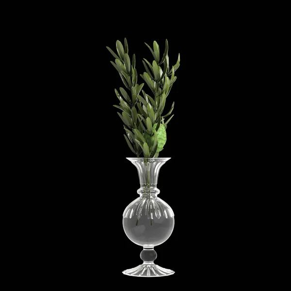 室内空间花卉花瓶装饰的3D图解 以黑色背景为隔离 — 图库照片