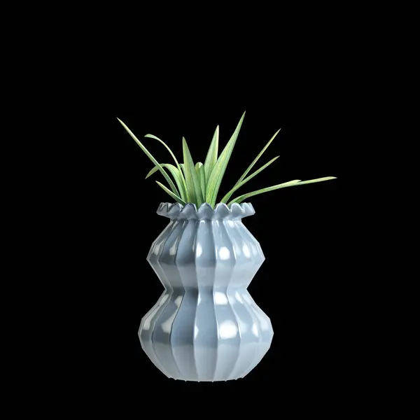 室内空间花卉花瓶装饰的3D图解 以黑色背景为隔离 — 图库照片