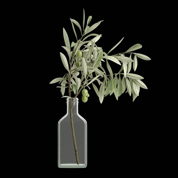 Illustration Olive Vase Decoration Isolated Black Background — Stock Photo, Image