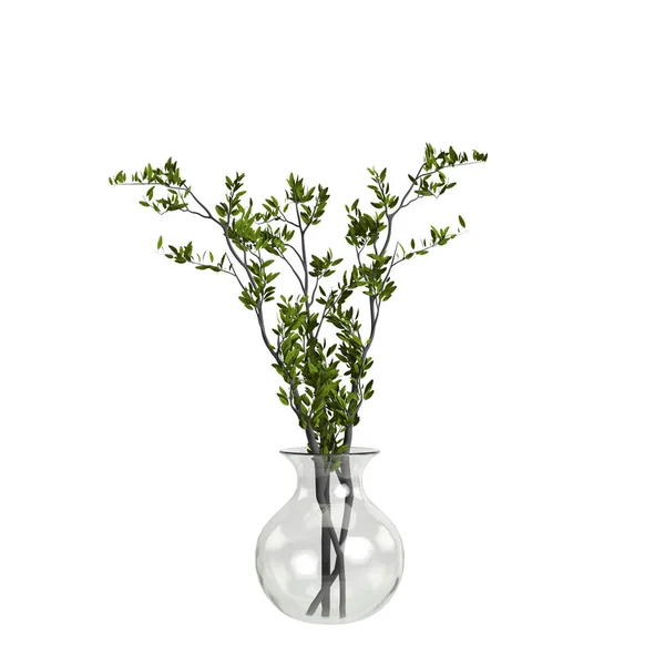 Illustration Flower Vase Isolated White Background — стоковое фото