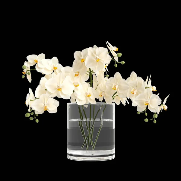 Illustration Décoration Vase Fleurs Isolé Sur Fond Noir — Photo
