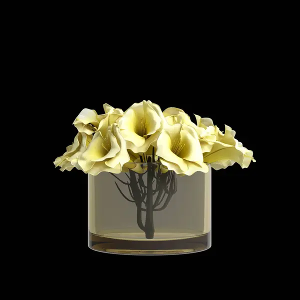 Ilustrace Květinové Vázy Dekorace Izolované Černém Pozadí — Stock fotografie