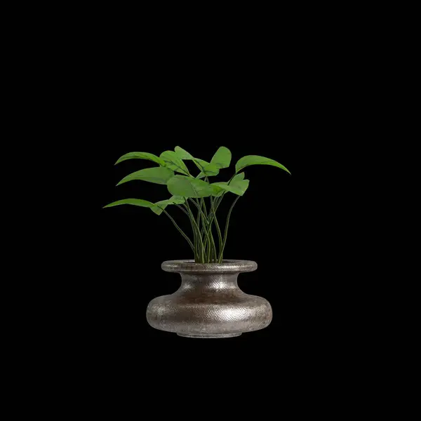 黒の背景に隔離された花瓶の装飾の3Dイラスト — ストック写真