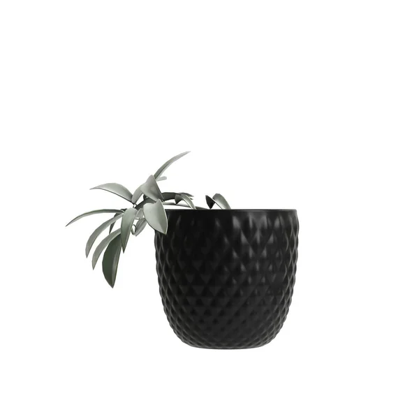 Illustration Flower Vase Decoration Isolated White Background — Stock Photo, Image