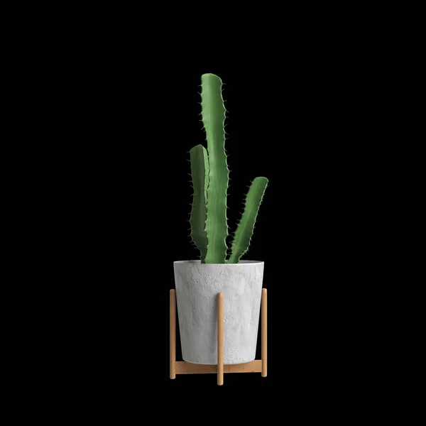 黒い背景に隔離された観葉植物の3Dイラスト — ストック写真