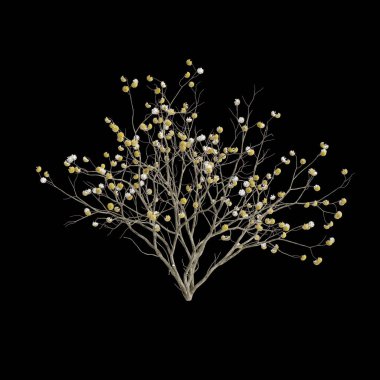 Edgeworthia çiçeğinin siyah arka planda izole edilmiş 3D çizimi