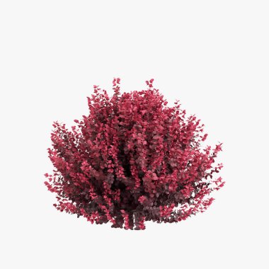 Beyaz arka plan üzerinde izole 3D çizimi