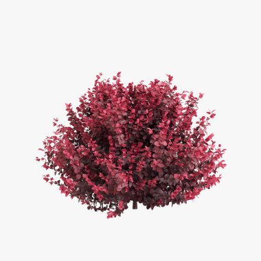 Beyaz arka plan üzerinde izole 3D çizimi