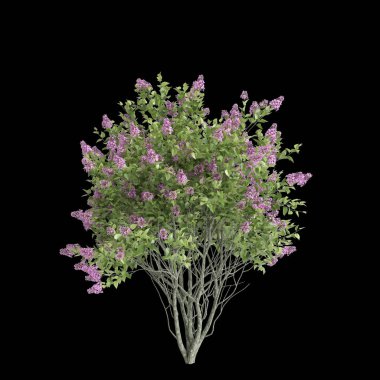 Siyah arka planda izole edilmiş üç boyutlu şırınga görsellemesi