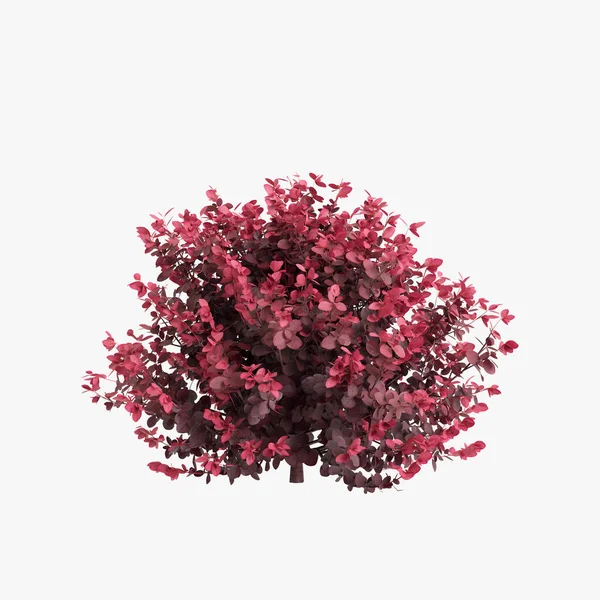 Beyaz arka plan üzerinde izole 3D çizimi