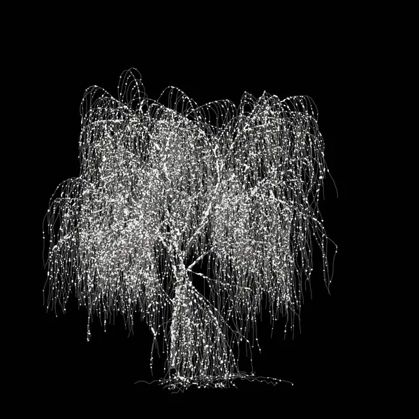 Illustration Salix Tristis Snow Covered Tree Isolated Black Background — Stock Photo, Image