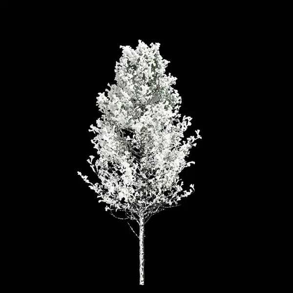 在黑色背景上被隔离的假糖覆盖的树3D图例 — 图库照片
