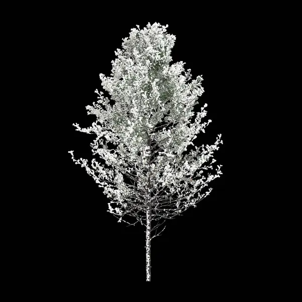 在黑色背景上被隔离的假糖覆盖的树3D图例 — 图库照片