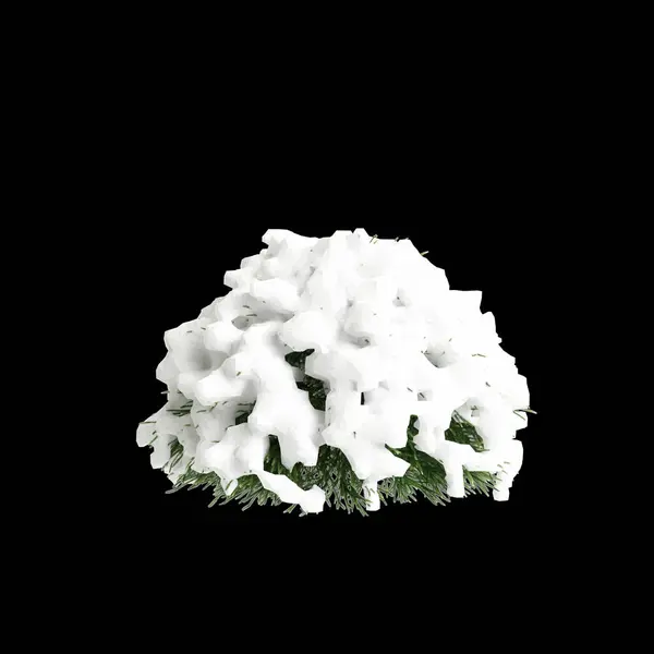 Ilustracja Cryptomeria Japonica Śnieg Pokryte Drzewo Izolowane Czarnym Tle — Zdjęcie stockowe