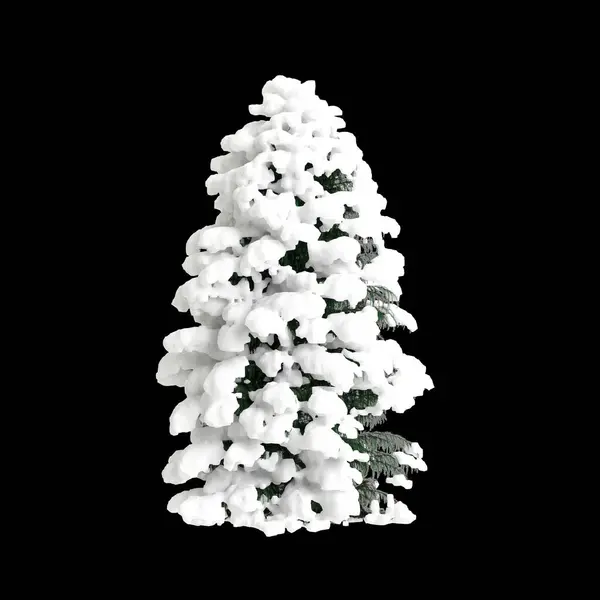 Ilustracja Cryptomeria Japonica Eleganci Viridis Pokryte Śniegiem Drzewo Izolowane Czarnym — Zdjęcie stockowe