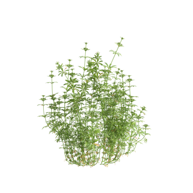 Üç boyutlu galyum açıklığı çizimi siyah arkaplanda izole edildi