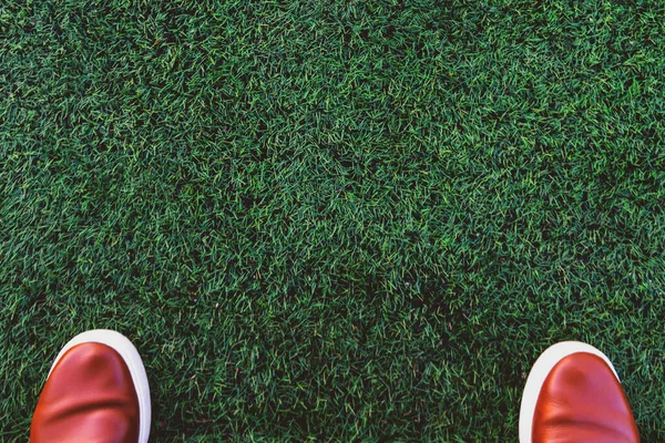 stock image Brown sneakers on a green lawn. feet in sneakers on a grass. Copy space. top view 