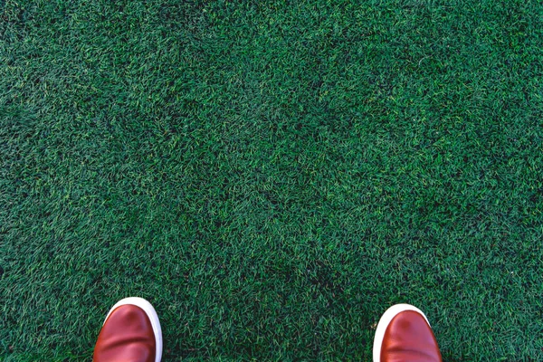 Brown Sneakers Green Lawn Feet Sneakers Grass Copy Space Top — Stock Photo, Image