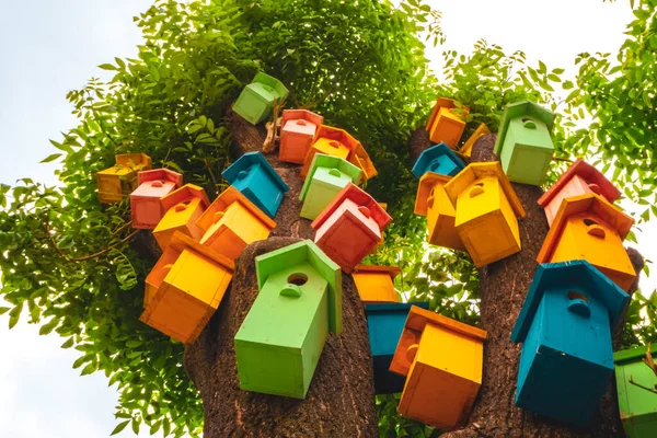 ツリー上の色入れ子ボックス カラフルな鳥の家がたくさんあります コンセプト動物への助け 鳥の巣や住居の多くは アパートのコンセプト 一般的な木の概念 — ストック写真