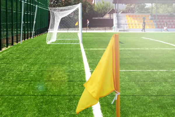 Soccer,  football field. Football soccer stadium with white marks,  gate and stands, green grass texture and corner flag.  At sports stadium.