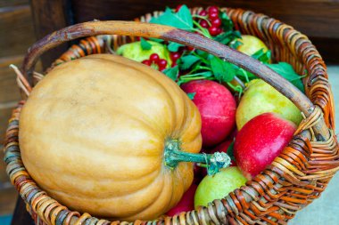 Sonbahar hediyeleri. Arabada kocaman sebzeler var. Hasır sepetteki sebzeler. Farklı boyutlarda balkabakları. Sonbahar hasadı konsepti sebze hasadı. Sağlıklı yemek için konsept ürünler. 