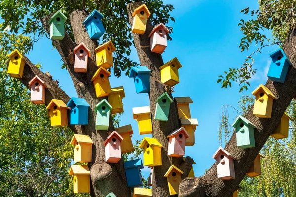 Kolorowe Domki Dla Ptaków Kolorowa Skrzynka Lęgowa Kolorowe Domy Ptaków — Zdjęcie stockowe