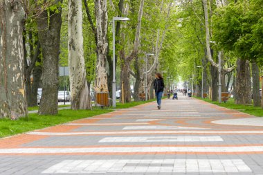 Park sokağı. Şehir Parkı. Bulvar boyunca yürü. ara sokak 